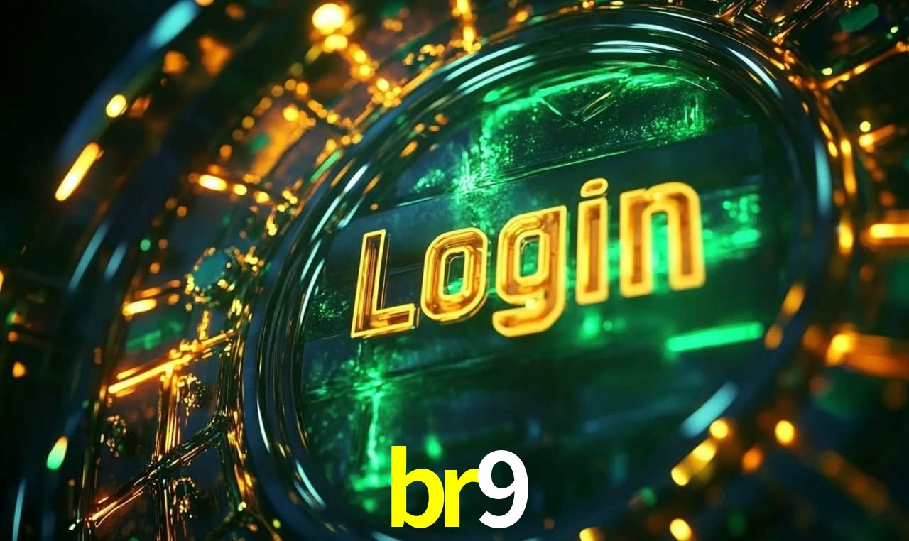 Premium Interface br9